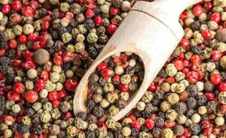 İşte 'tane karabiber' yutmanın faydası