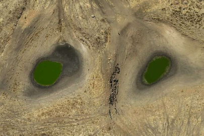 20-30 yılda 'su kıtlığı' yaşayacağız! Temel neden iklim değişikliği...