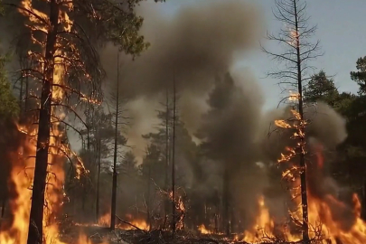 Bakan Yumaklı’dan orman yangını uyarısı: Yeşil Vatan'ı hep birlikte koruyalım