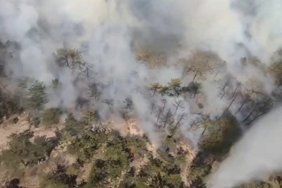 Eskişehir’de orman yangını... Müdahale sürüyor
