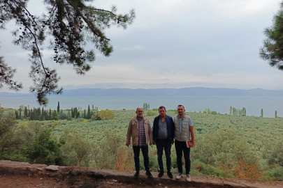 Marmarabirlik’ten 'anıt zeytin ağaçları'na özel marka vizyonu