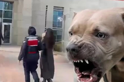 Etimesgut'ta pitbull dehşetinde yeni gelişme... Köpek sahibi tutuklandı!