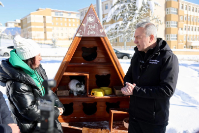 Sivas Belediyesi sessiz dostlarını unutmadı