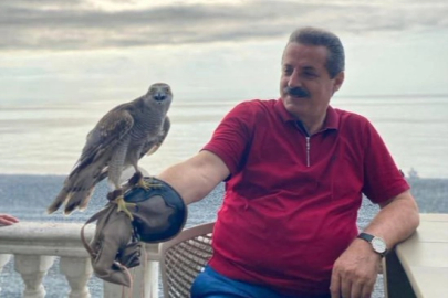 AK Parti Milletvekili Faruk Çelik, atmaca severlere müjdeledi... Artvin ve Rize’de geleneksel atmacacılığa hukuki güvence