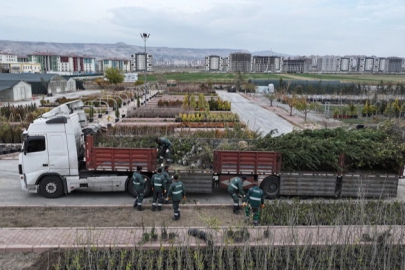 Kayseri Kocasinan'dan ağaç dikme rekoru