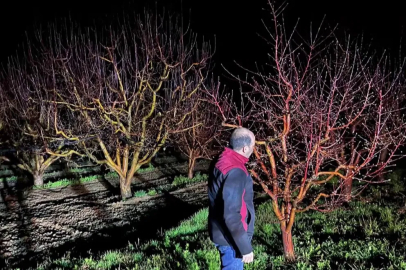 Zirai don alarmı! Ekipler sahada