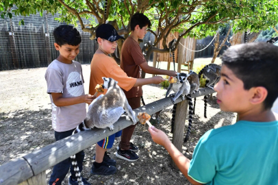 İzmir'de Doğal Yaşam Parkı öğrencilere ücretsiz olacak