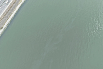 İzmir Körfezi’nde kirlilik endişelendiriyor! Aynı tehdit 11. kez görüldü