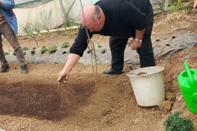 Bilecik Pazaryeri’nde tütün geçim kapısı oluyor
