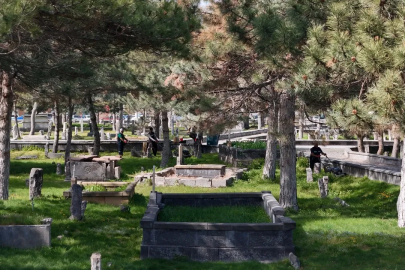 Kayseri'de 'yeşil' seferberlik