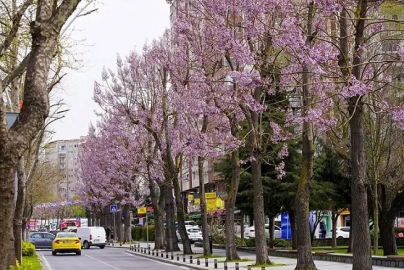 İstanbul Beylikdüzü'nde bakım ve yaz hazırlığı bir arada