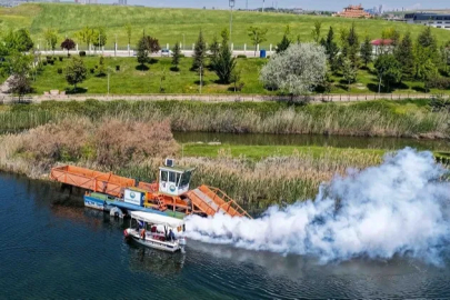 Başkent'te haşerelere geçit yok