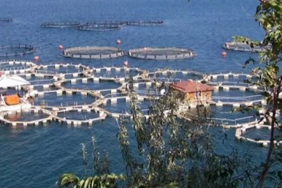 Tarım ve gıda sektörüne 1,2 milyar liralık hibe