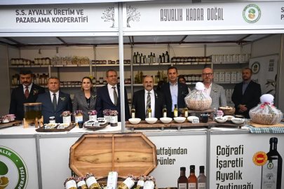 Uluslararası Ayvalık Zeytin Hasat ve Turizm Festivali başladı