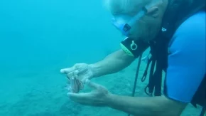 Mahsur kalan naylon balığına su altında profesör eliyle özgürlük