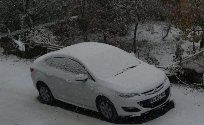 Bitlis’e mevsimin ilk karı yağdı